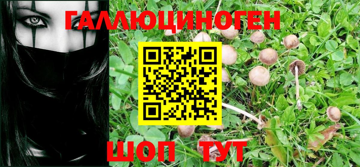 Псилоцибиновые грибы Magic Shrooms Красногорск