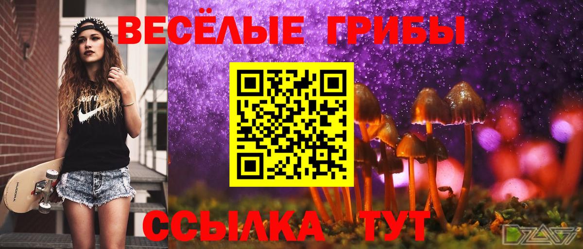 Красногорск  Галлюциногенные грибы ЛСД  Вход с VPN 