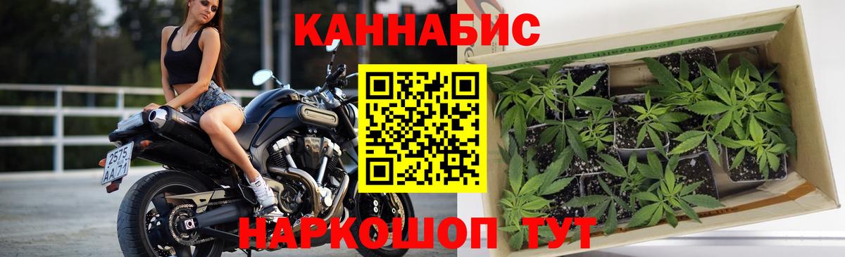 МАРИХУАНА ГИДРОПОН  Канабис OG Kush  Красногорск  Вход с VPN 